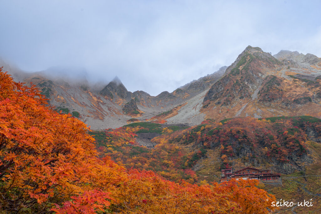 涸沢カール