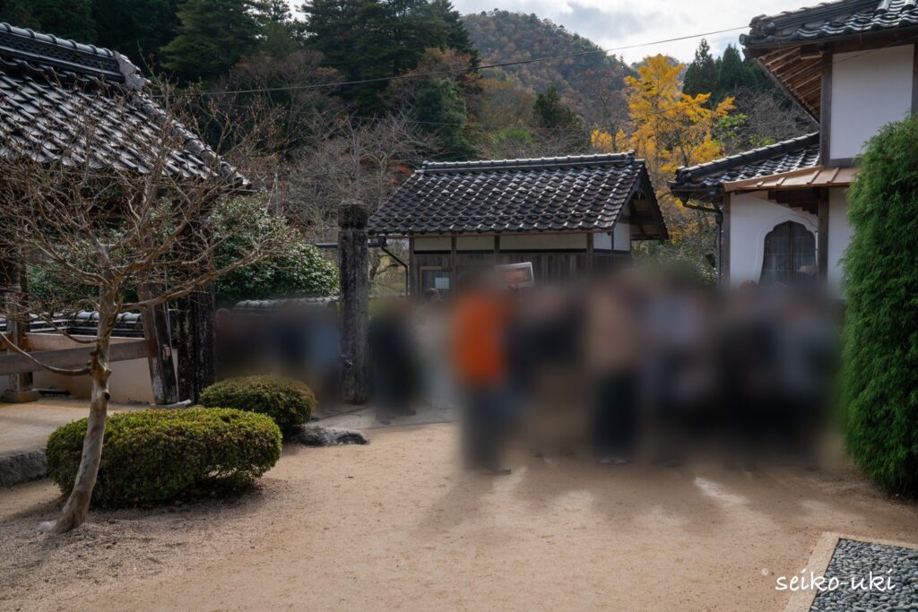 安国寺の紅葉公開で順番待ちをする拝観者の行列