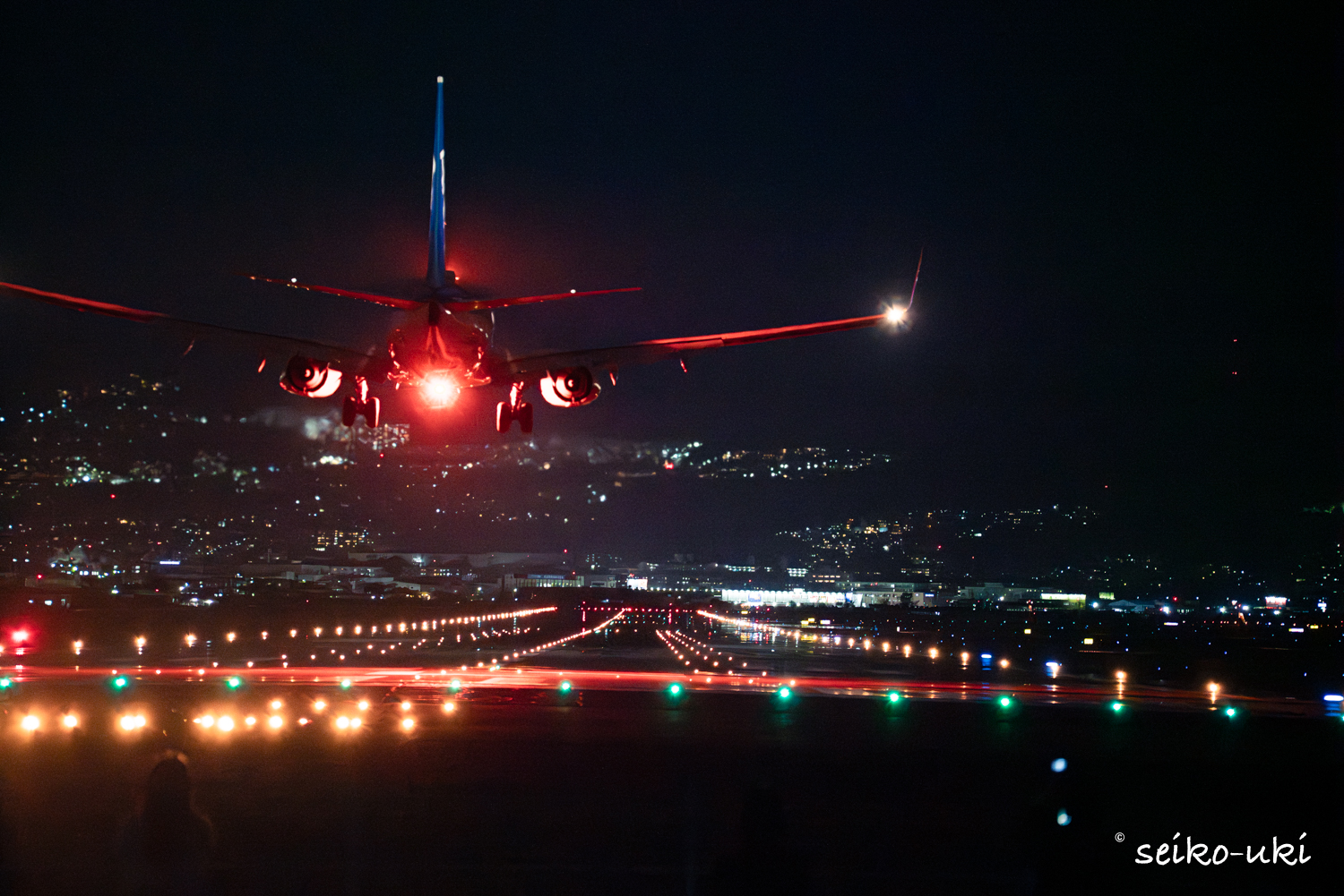 着陸して遠ざかっていく機体のテールビュー