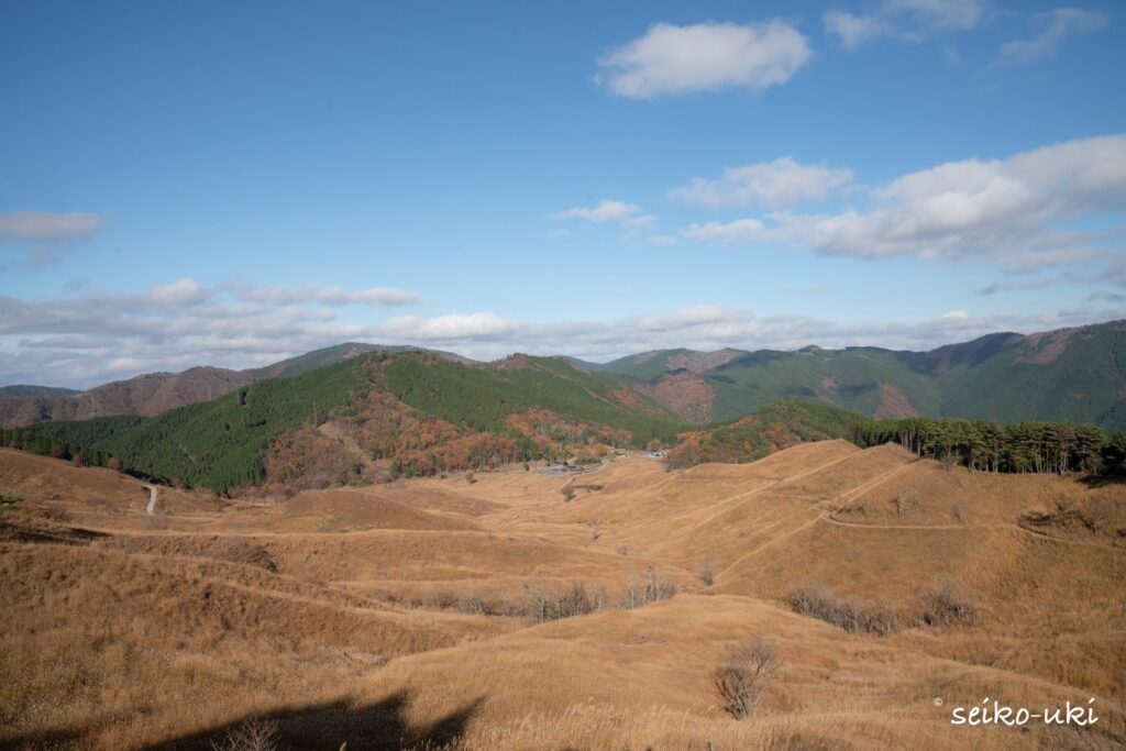 砥峰高原を高い位置から見下ろした草原の広がり
