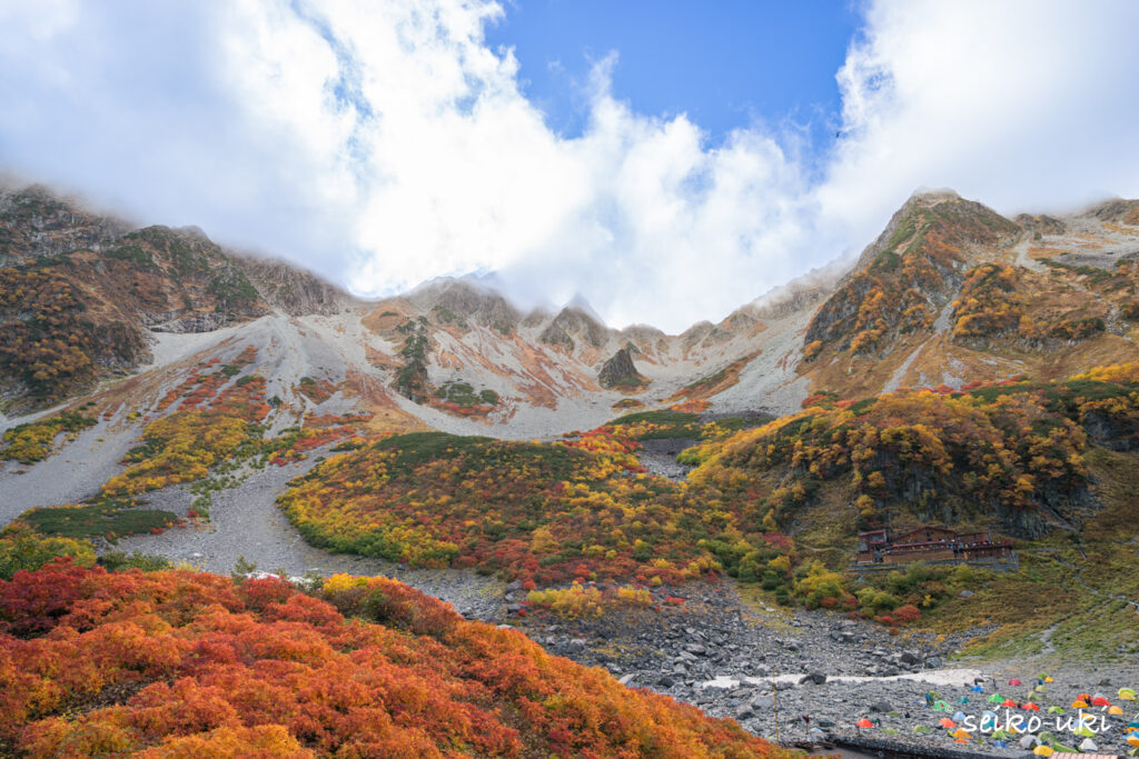 涸沢ヒュッテ前のナナカマドを前景にした紅葉のカール全景
