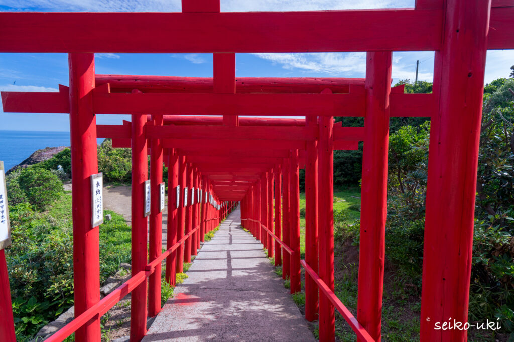 元乃隅神社の赤い鳥居のトンネルの内側から見た参道