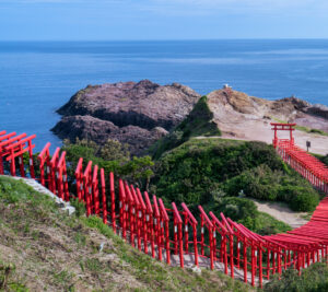高台から見下ろした元乃隅神社の鳥居の列と日本海