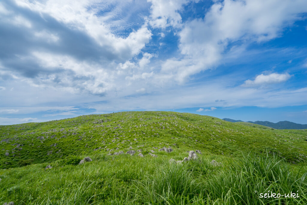 秋吉台の冠山あたり、草に覆われてカレンフェルトが沈んだ斜面